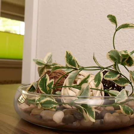 Apartmán Myhome Ambach